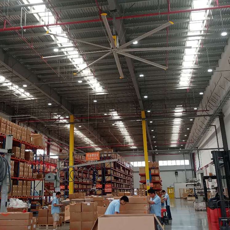 product-748-748